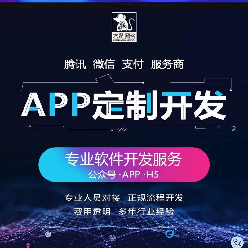 系统定制开发在企业管理中的作用与实践